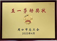 遠(yuǎn)大鍋爐被授予五一勞動獎(jiǎng)狀