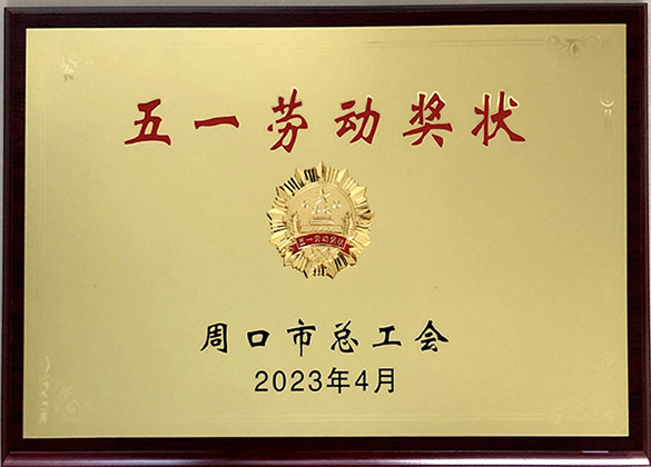 遠(yuǎn)大鍋爐被授予五一勞動獎(jiǎng)狀一